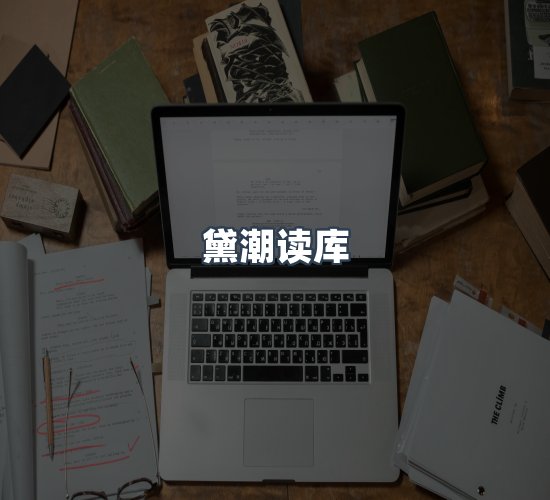 关于黛潮读库